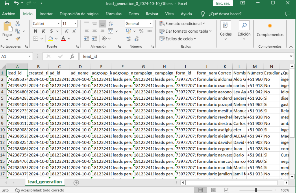 excel con leads de tiktok